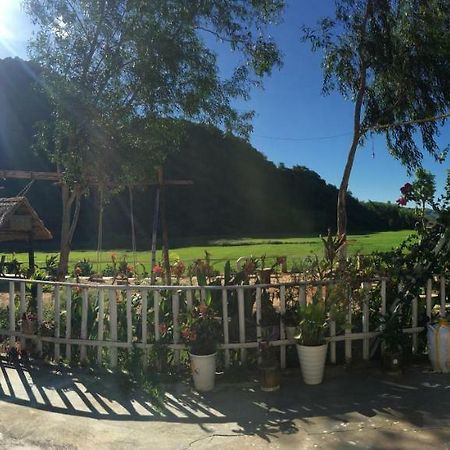 Phong Nha Rice Field Homestay 외부 사진