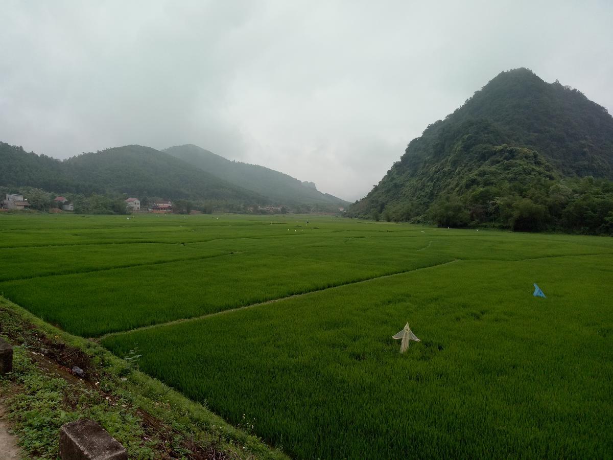Phong Nha Rice Field Homestay 외부 사진