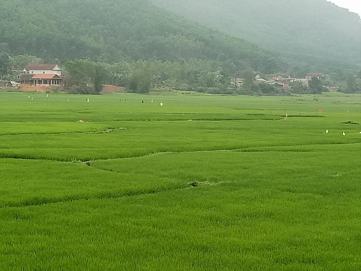 Phong Nha Rice Field Homestay 외부 사진