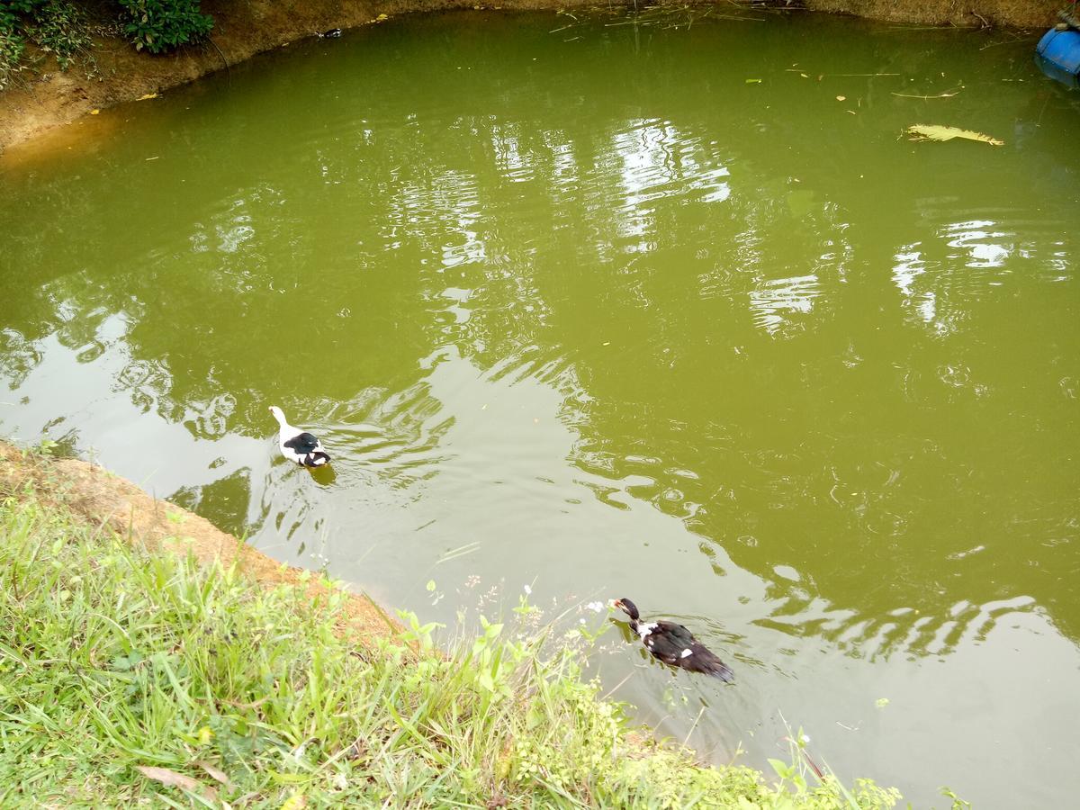 Phong Nha Rice Field Homestay 외부 사진