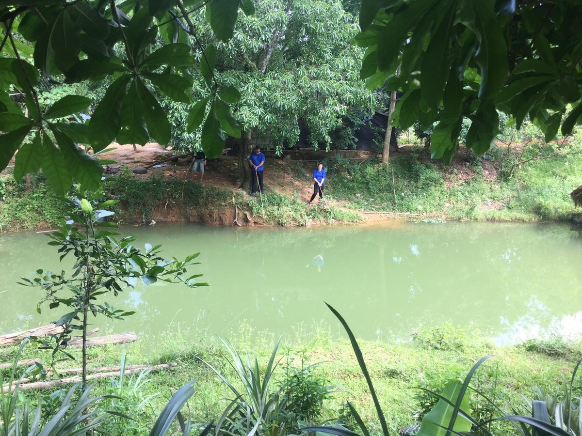 Phong Nha Rice Field Homestay 외부 사진