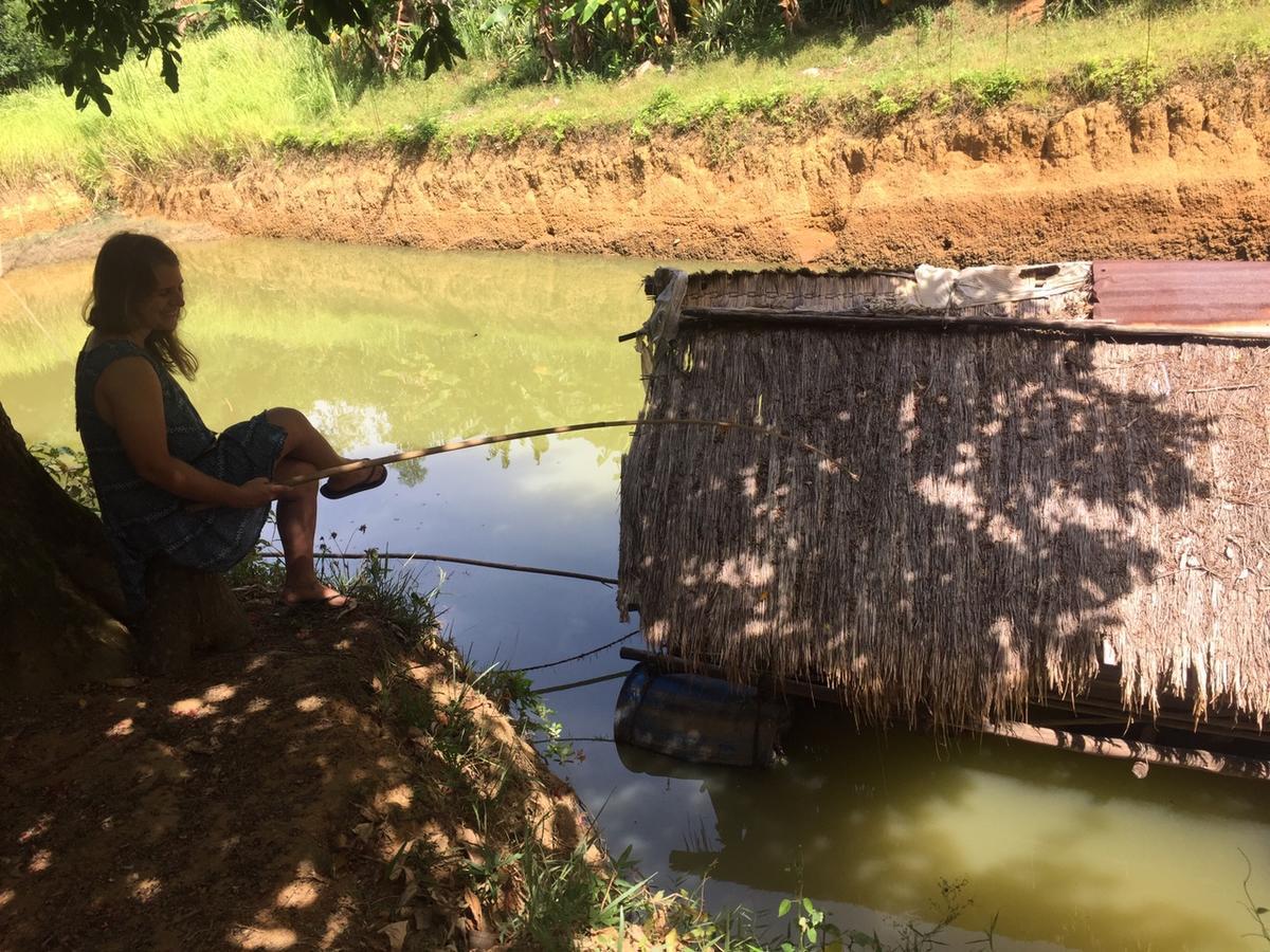 Phong Nha Rice Field Homestay 외부 사진