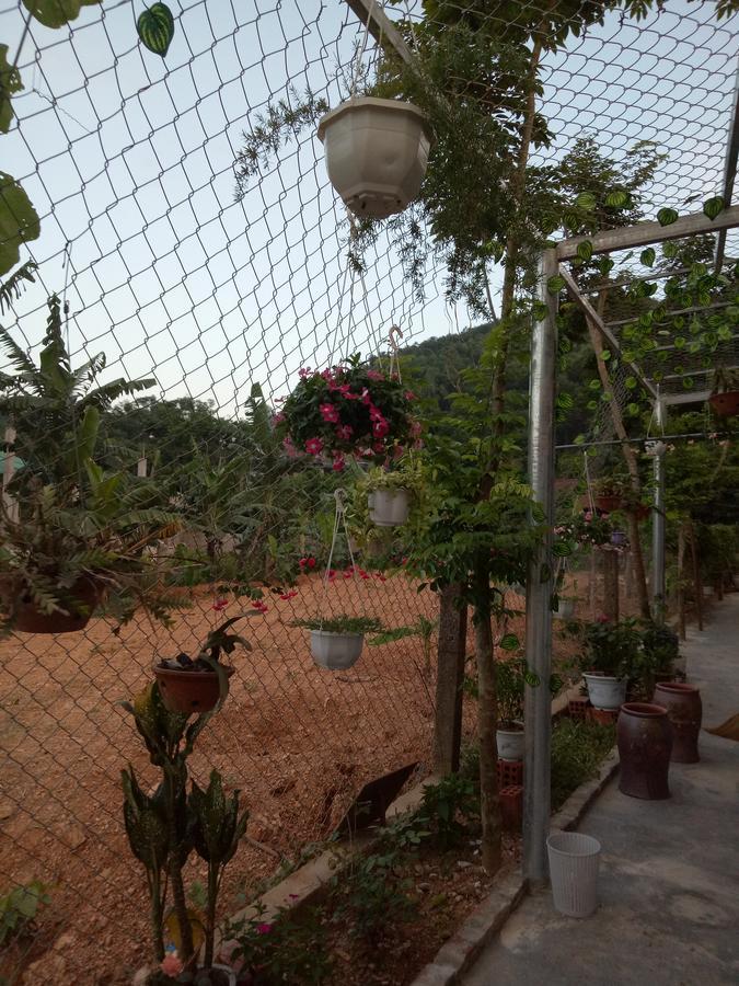 Phong Nha Rice Field Homestay 외부 사진