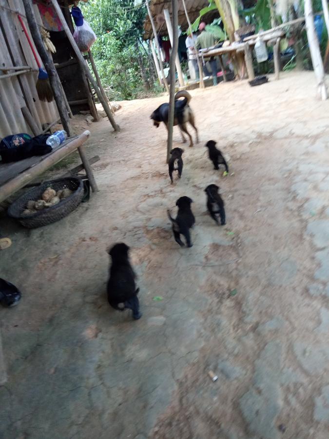 Phong Nha Rice Field Homestay 외부 사진